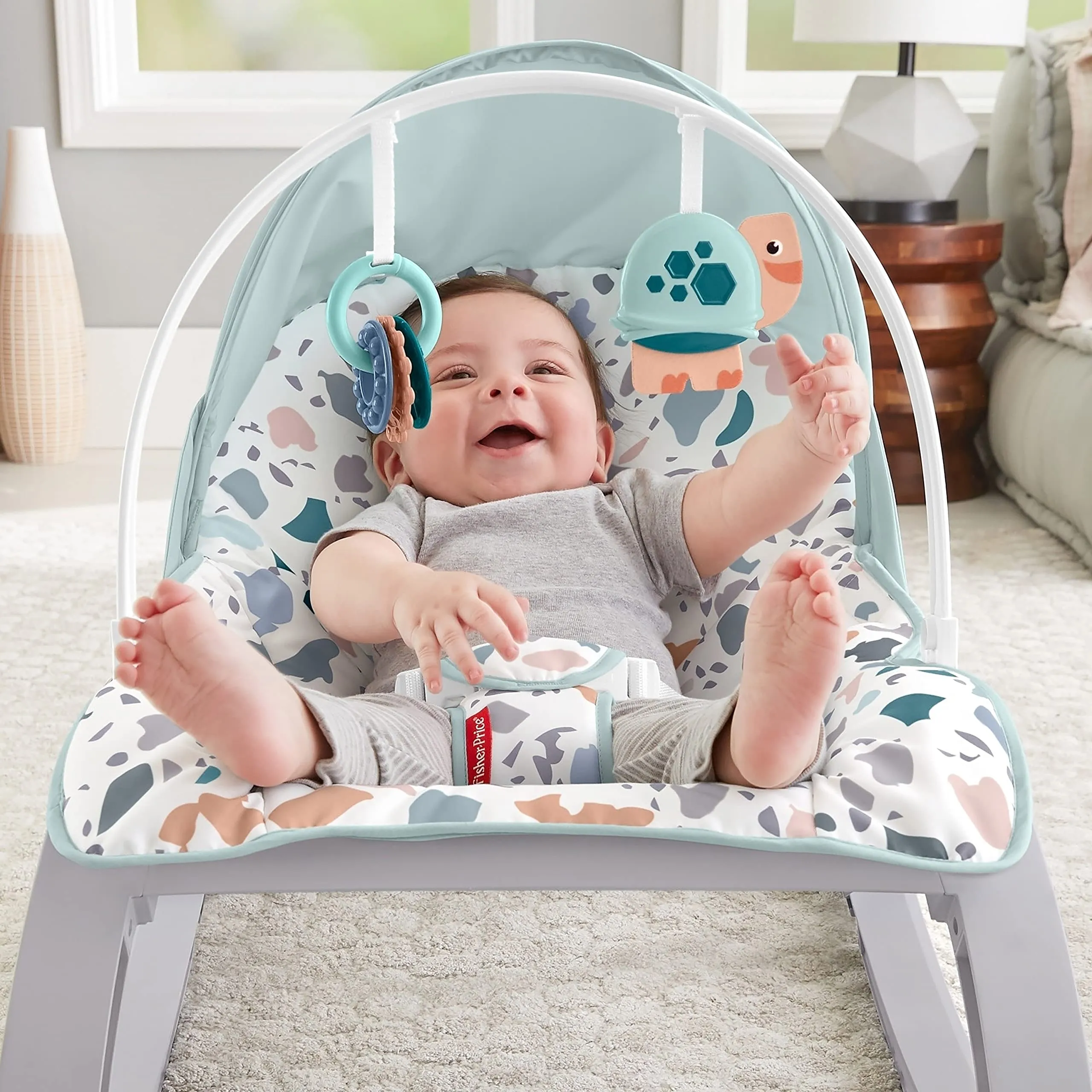 Fisher-Price Deluxe Infant-to-Toddler Rocker